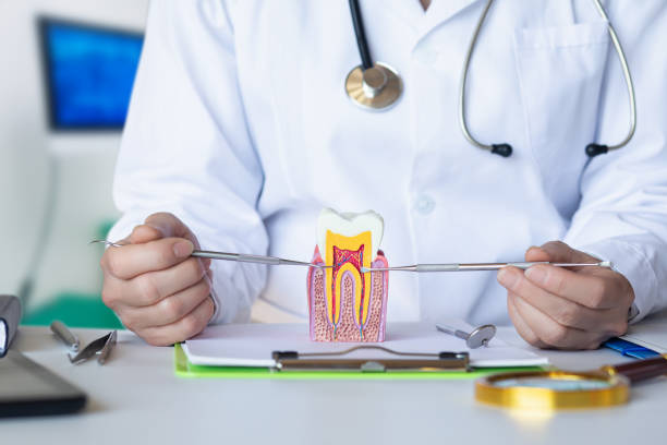 Best Walk-In Emergency Dentist in Brookville, OH